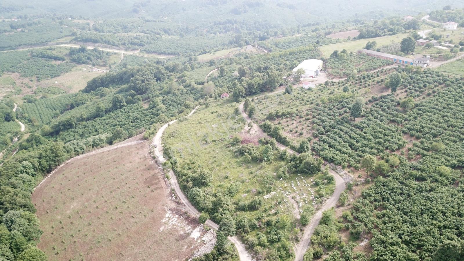 Kocaali Yeni Mahalle De Deniz Şehir Ve Doğa Manzaralı Arazi - Görsel 17
