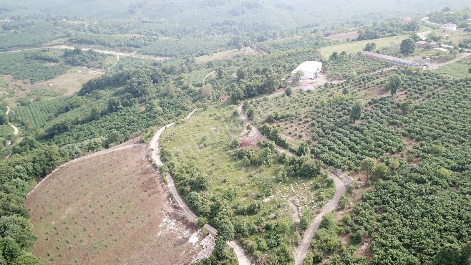 Kocaali Yeni Mahalle De Deniz Şehir Ve Doğa Manzaralı Arazi - Görsel 15