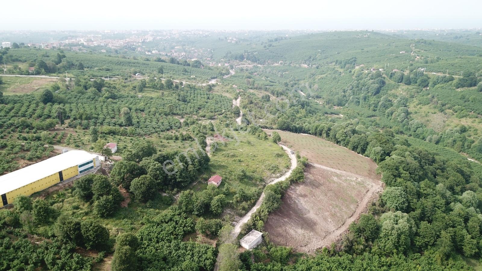 Kocaali Yeni Mahalle De Deniz Şehir Ve Doğa Manzaralı Arazi - Görsel 16