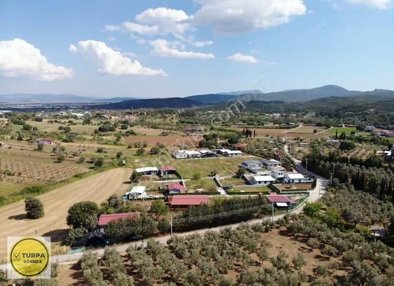 Akçaköy'de Satılık 300m² Bahçe: Merkeze Yakın, Doğayla İç İçe!!! - Görsel 4