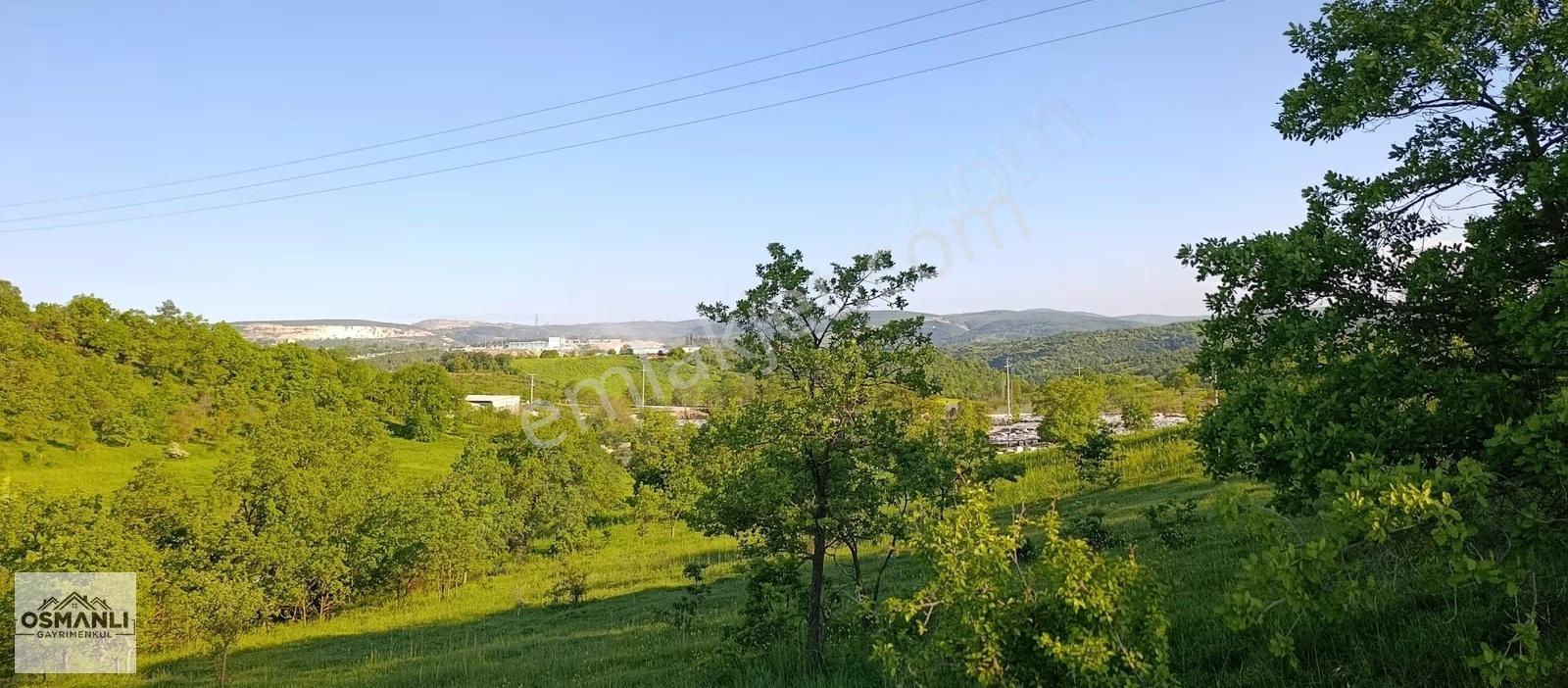 Kayhan Mahallesinde,manzaralı, Söğüte 2 Km Mesafede Fırsat Arazi - Görsel 29