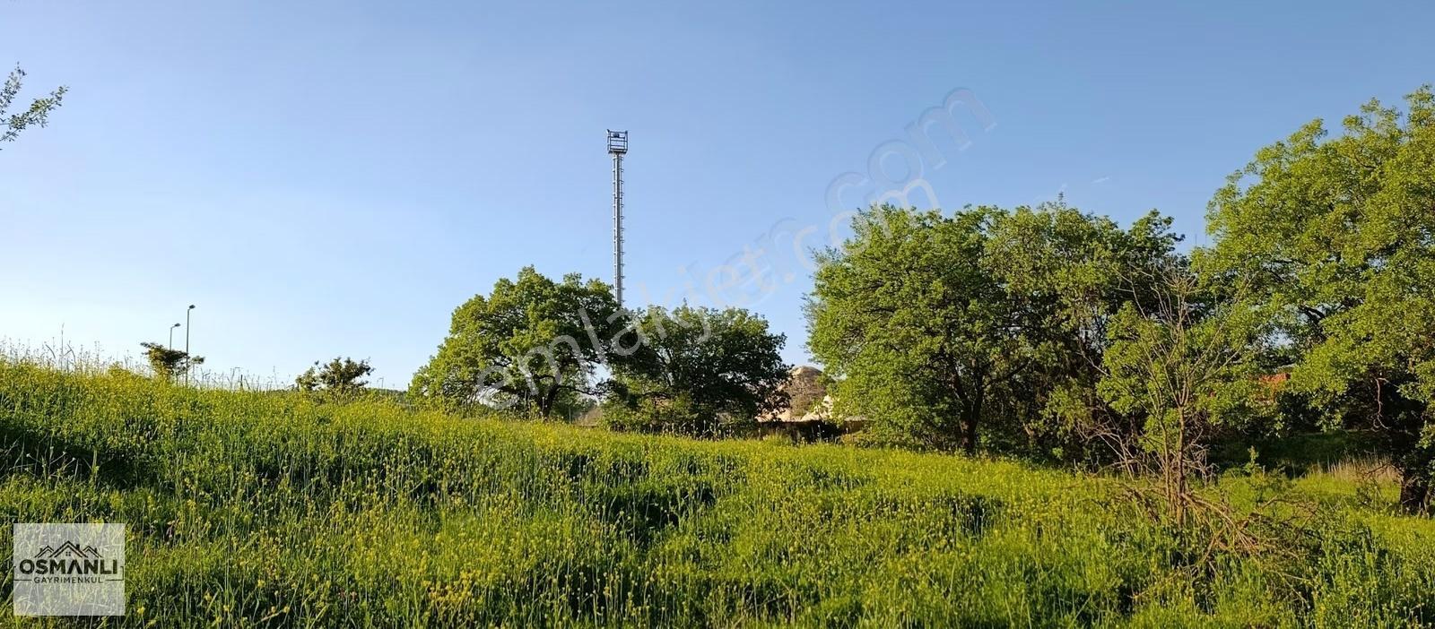 Kayhan Mahallesinde,manzaralı, Söğüte 2 Km Mesafede Fırsat Arazi - Görsel 24