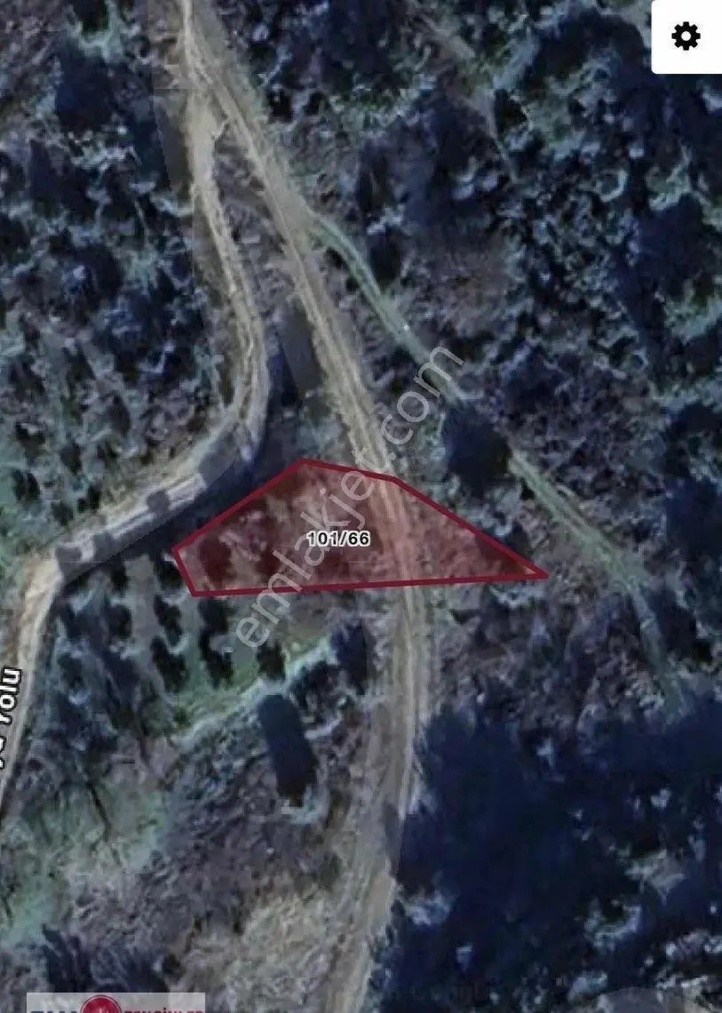 Ahmetli Halilkahyada Köy İçi İmarlı 457 M² Zeytinlik Arsa - Görsel 3