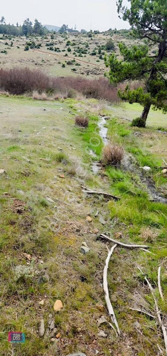 Büyük Orhan Gediklerde Satılık Tek Tapu Yolu Olan Arazi - Görsel 7