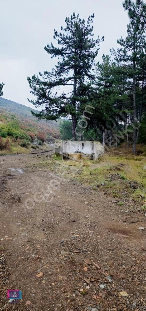 Büyük Orhan Gediklerde Satılık Arazi Yolu Suyu Vardır - Görsel 3