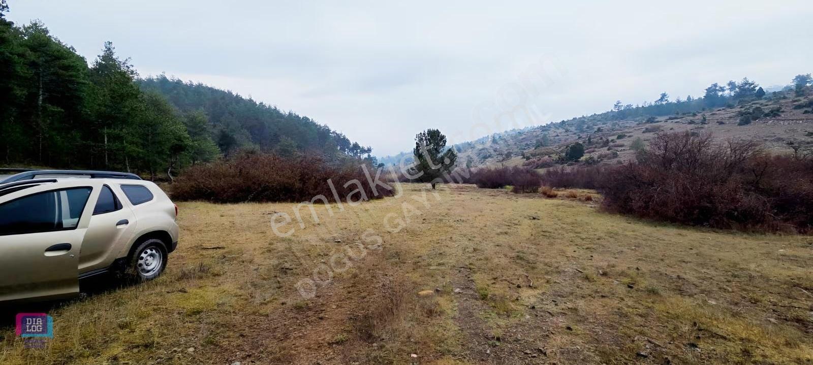 Büyük Orhan Gediklerde Satılık Arazi Yolu Suyu Vardır - Görsel 4