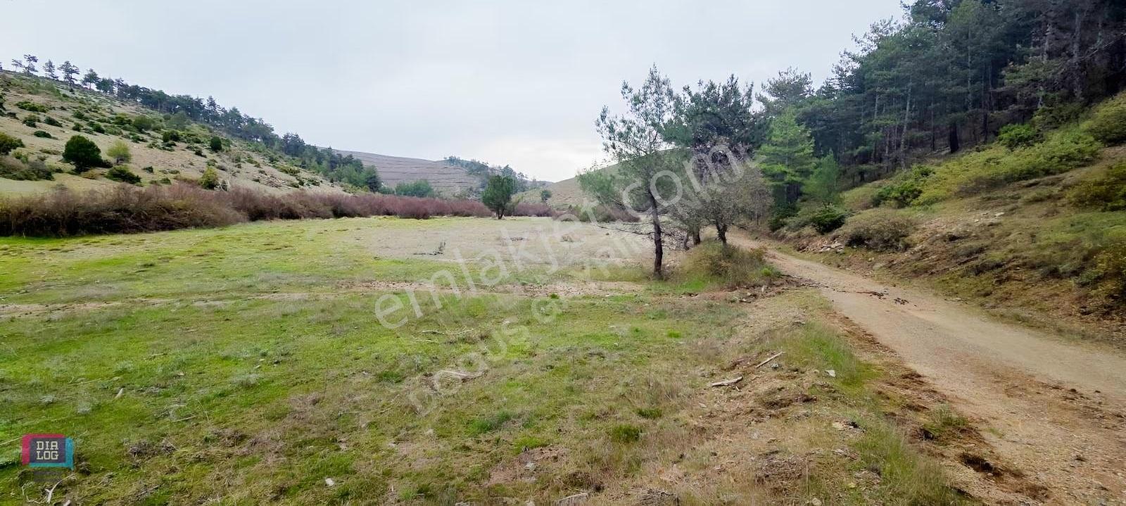 Büyük Orhan Gediklerde Satılık Arazi Yolu Suyu Vardır - Görsel 8