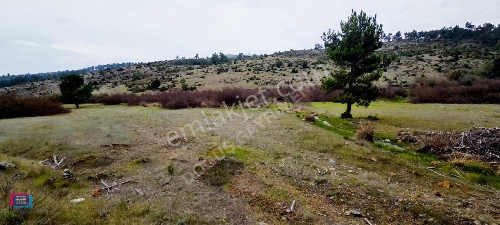 Büyük Orhan Gediklerde Satılık Arazi Yolu Suyu Vardır - Görsel 2