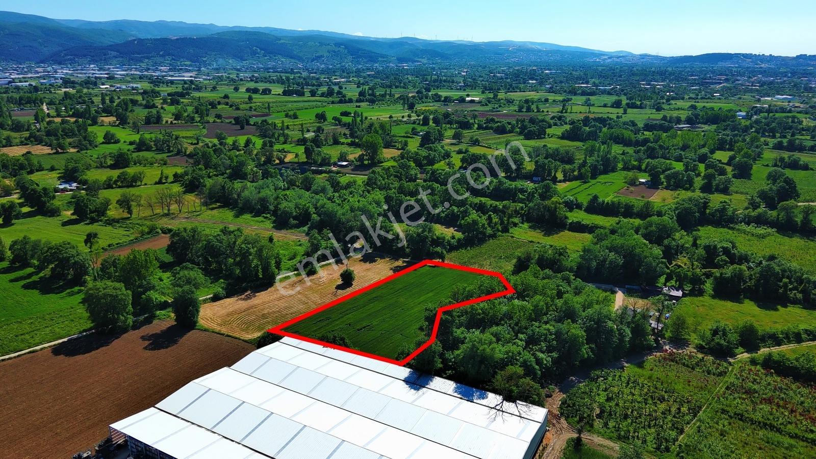 Alaaddinbey'de Kadastro Yoluna Cephe Satılık Arazi - Görsel 10