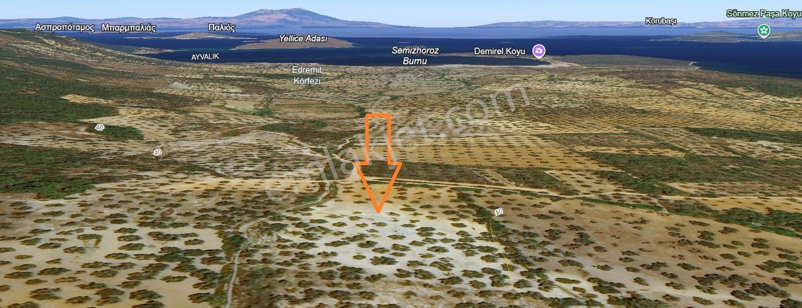 Route 10'dan Ayvalık Cunda Adası'nda Satılık Zeytinlik