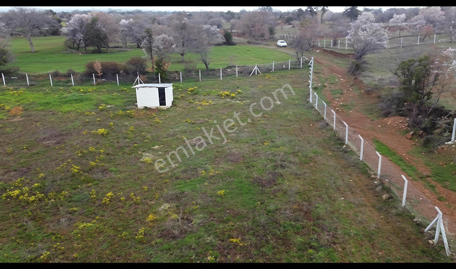 Fiyat Düştü Tavas Vakıf Da Satılık Tarla - Görsel 3