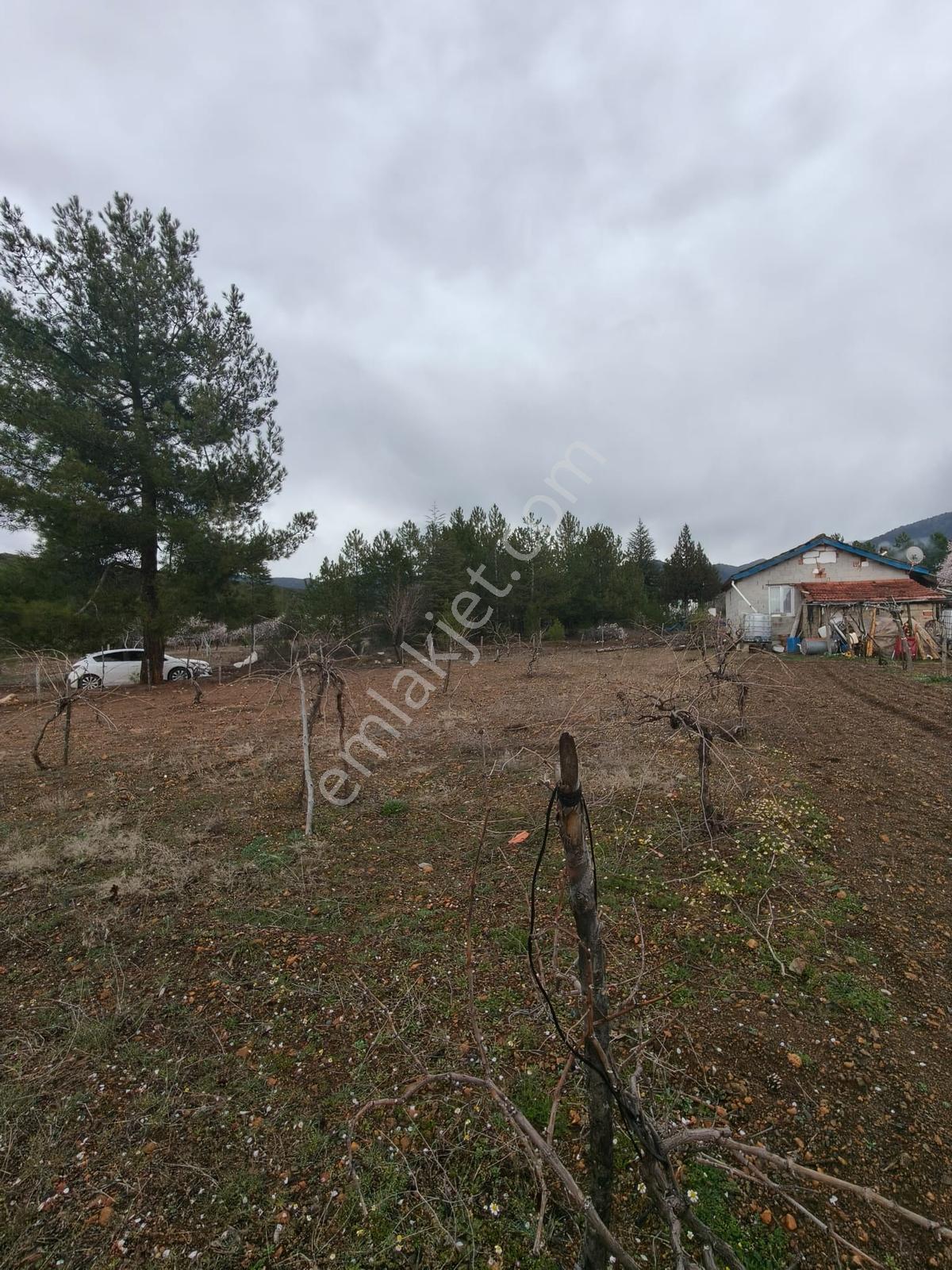 Nikfer Kayak Merkezi Yolu Üzerinde Satılık Tarla - Görsel 6