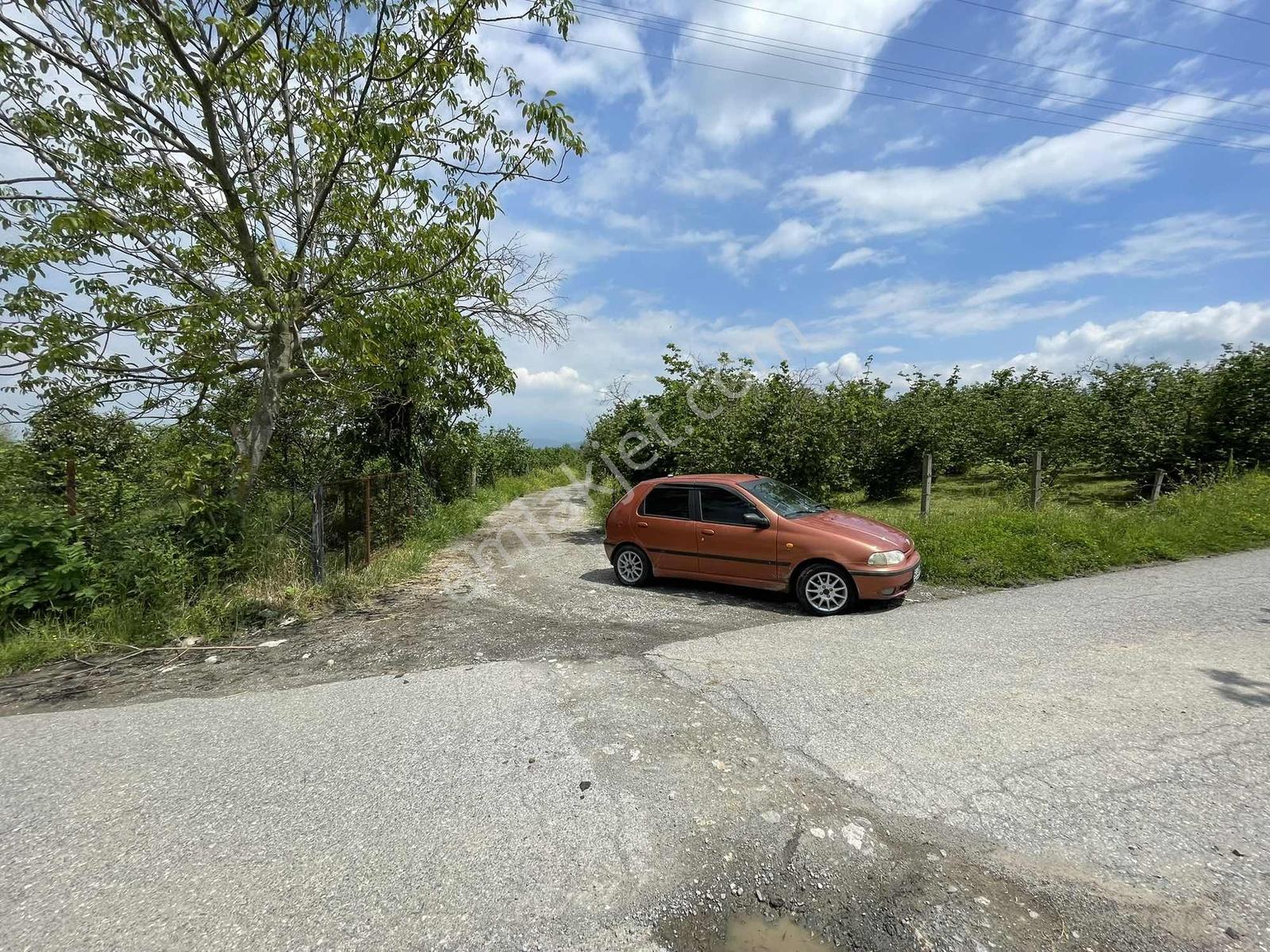Sakarya Karapürçek Merkezde 1235m2 Resmi Yollu Fırsat - Görsel 33