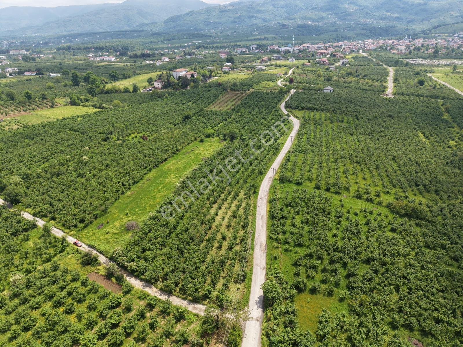 Sakarya Karapürçek Merkezde 1235m2 Resmi Yollu Fırsat - Görsel 18