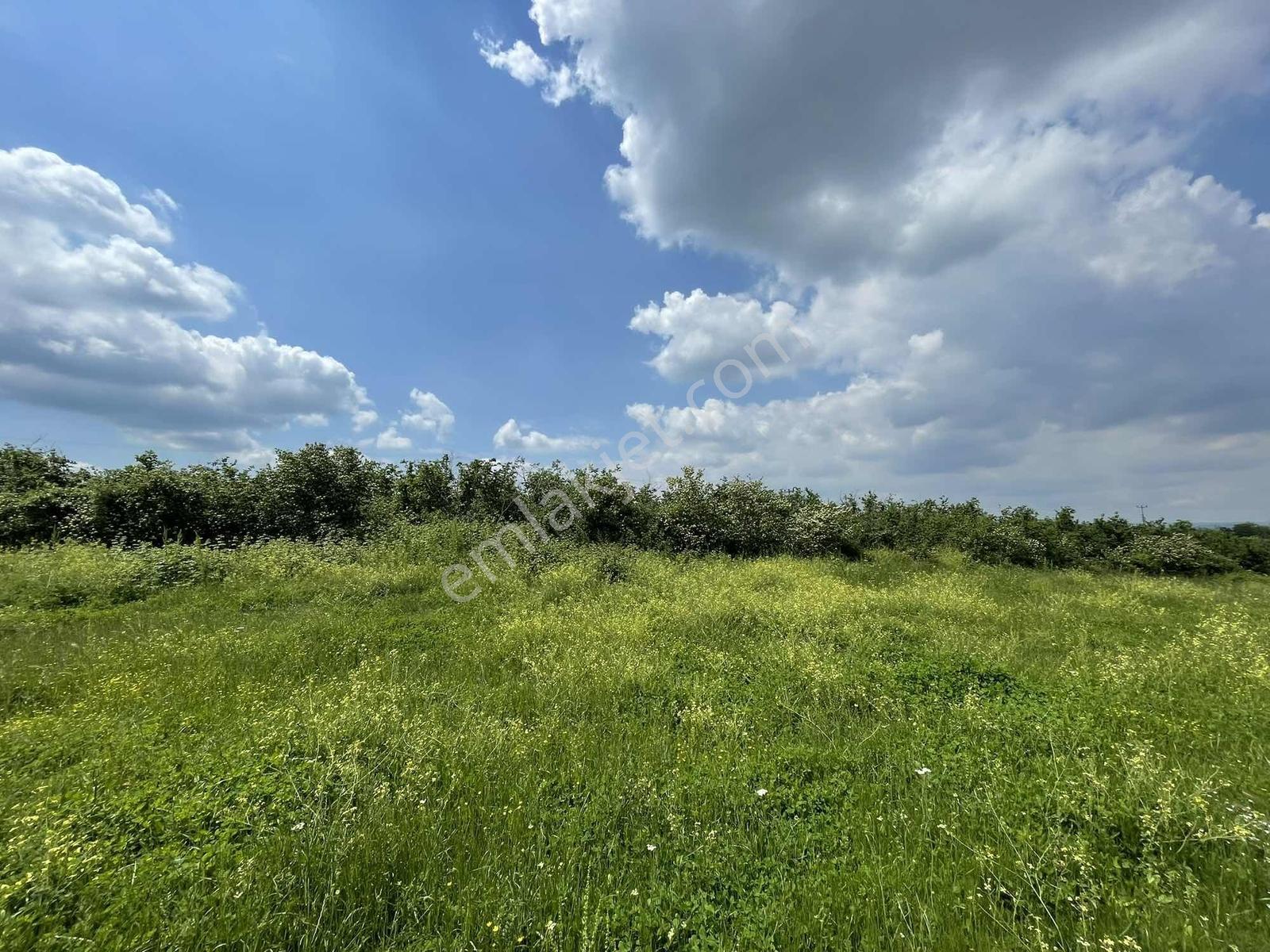 Sakarya Karapürçek Merkezde 1235m2 Resmi Yollu Fırsat - Görsel 28