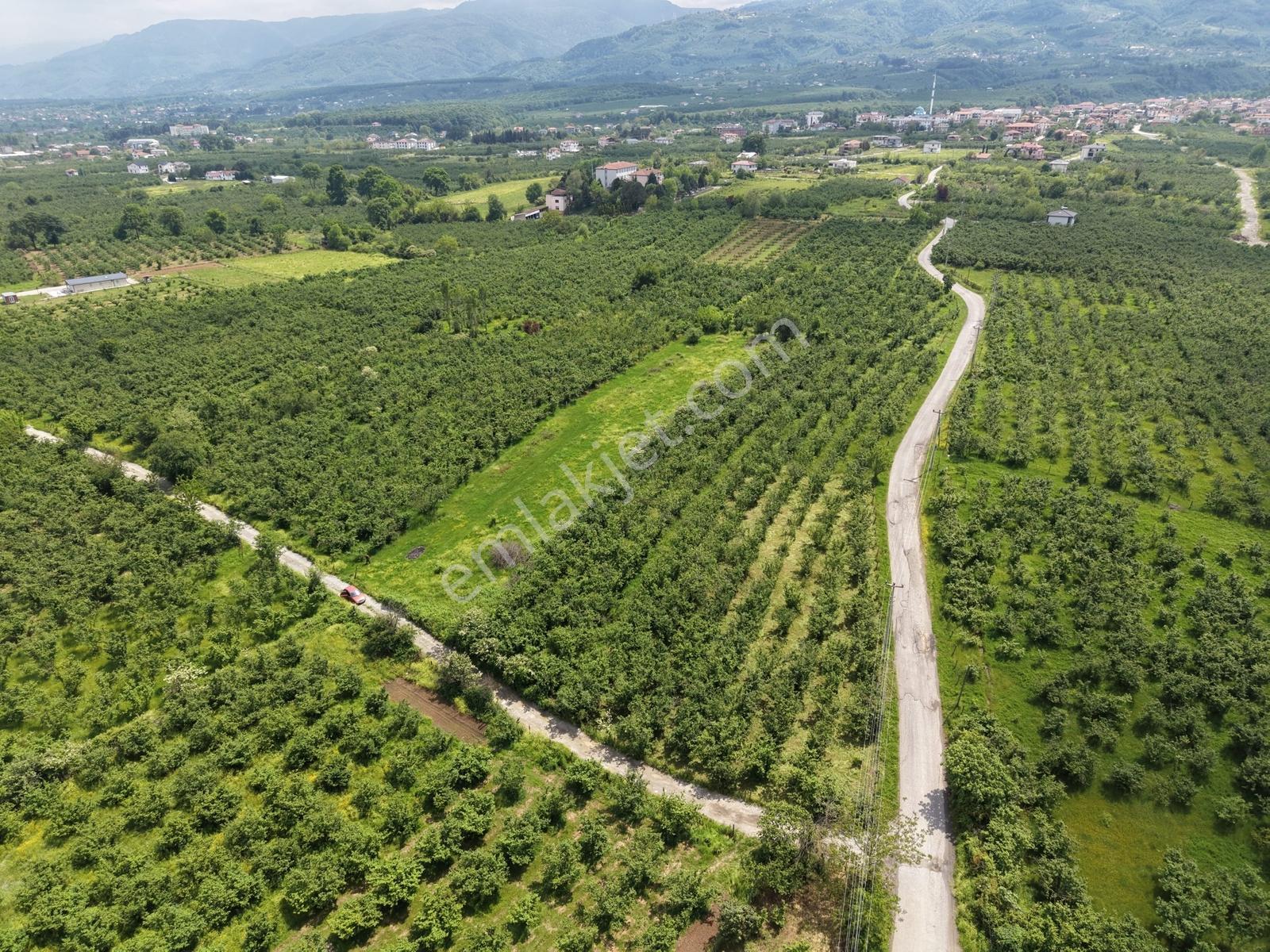 Sakarya Karapürçek Merkezde 1235m2 Resmi Yollu Fırsat