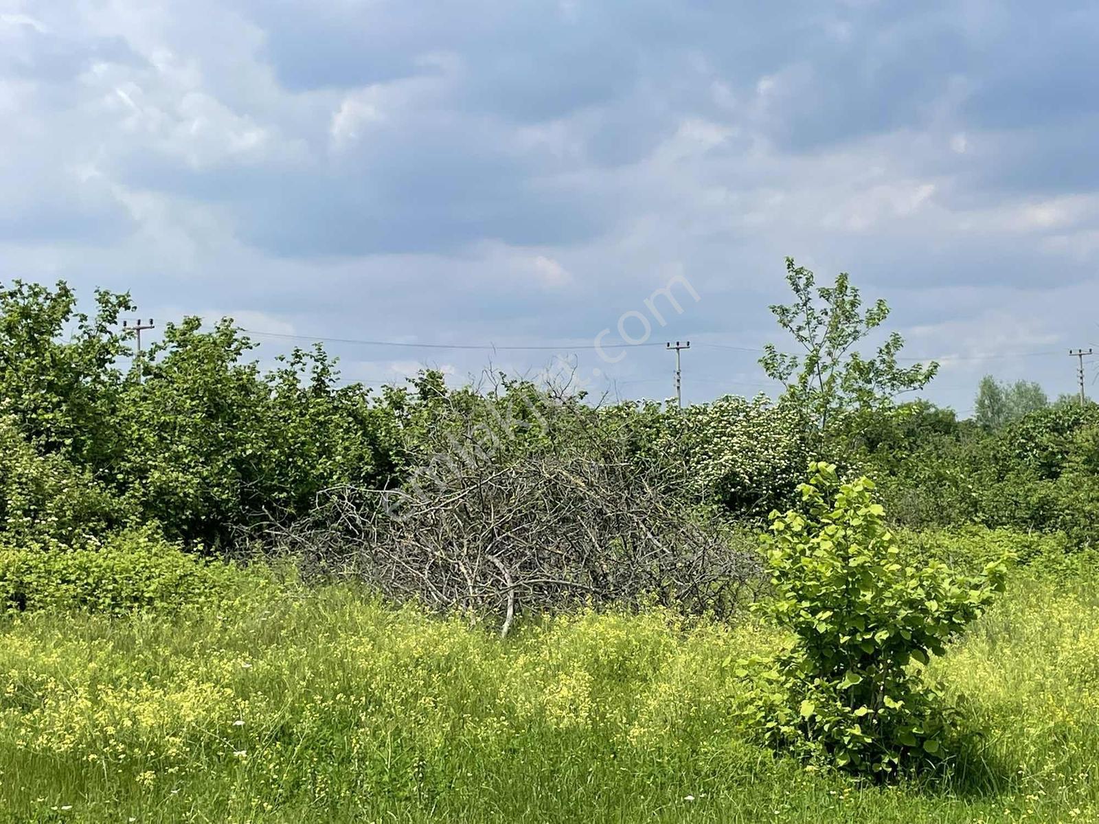 Sakarya Karapürçek Merkezde 1235m2 Resmi Yollu Fırsat - Görsel 30