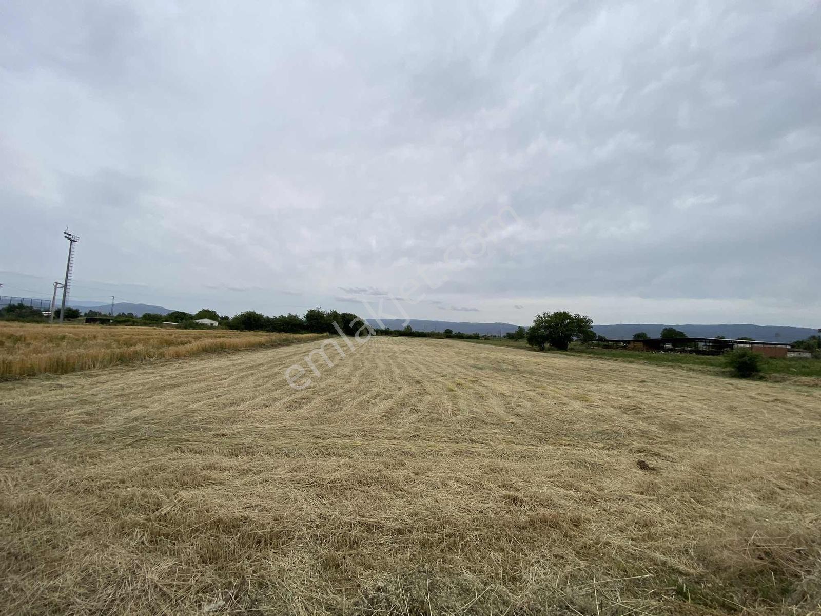Aydın Efeler Kardeşköyde Satılık 7204 M2 Tarla Fırsatı - Görsel 4