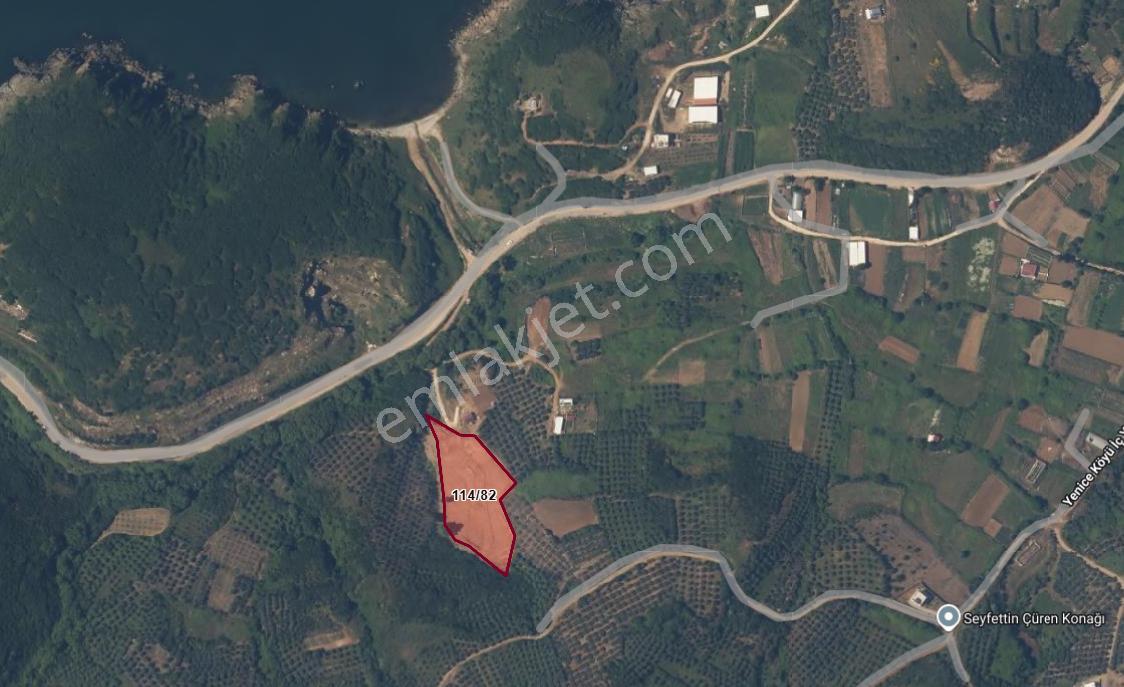 Balıkesir Bandırma Sahil Yenice Mah. 6.684 M2 Satılık Tarla Sahile Merkeze Yakın Yatırımlık