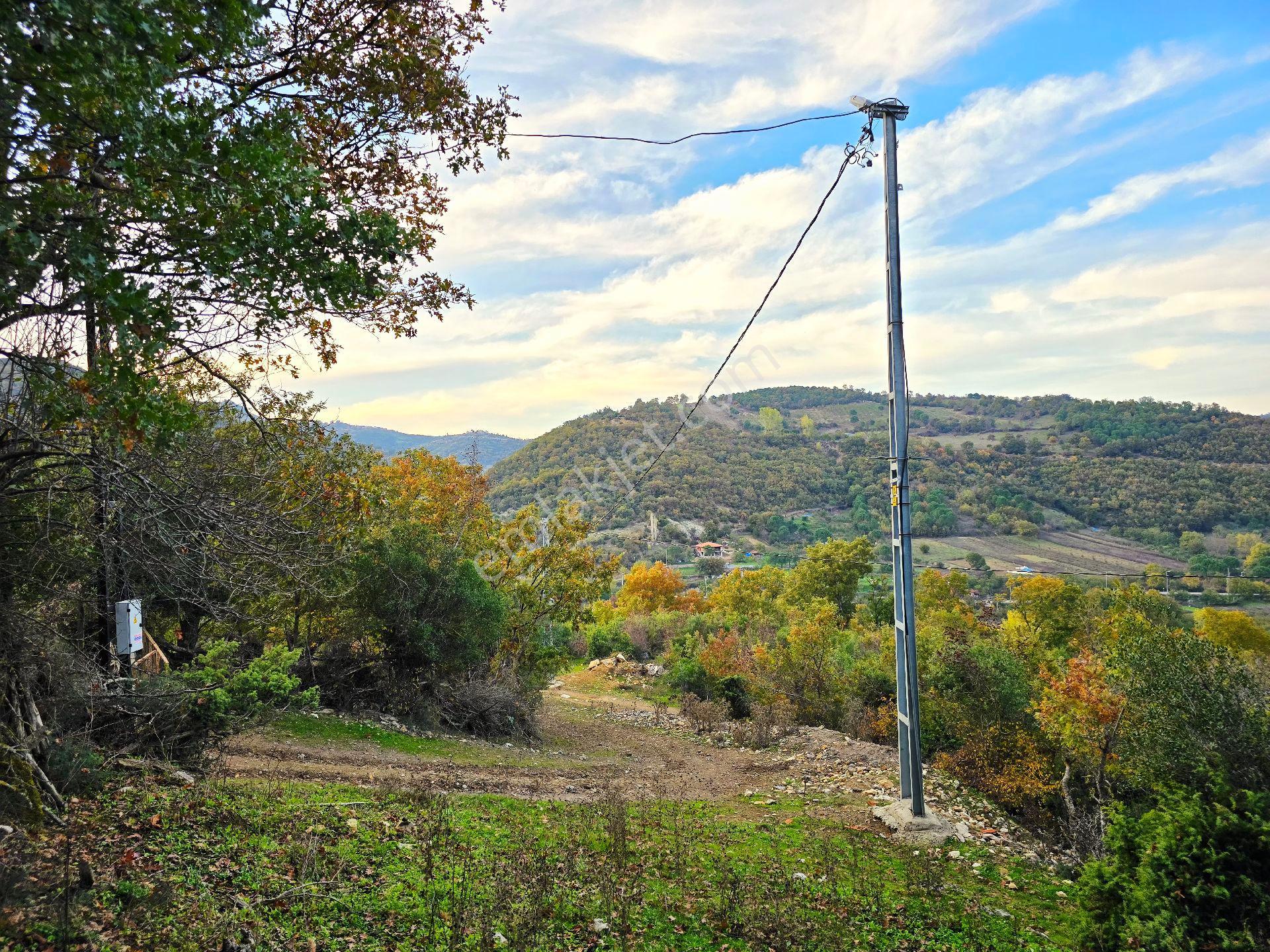 Balıkesir İvrindi Kışladerede Düz 18.520 M² Denize Yakın Yol Elk Su Ev Çiftlik Açıklamada - Görsel 29