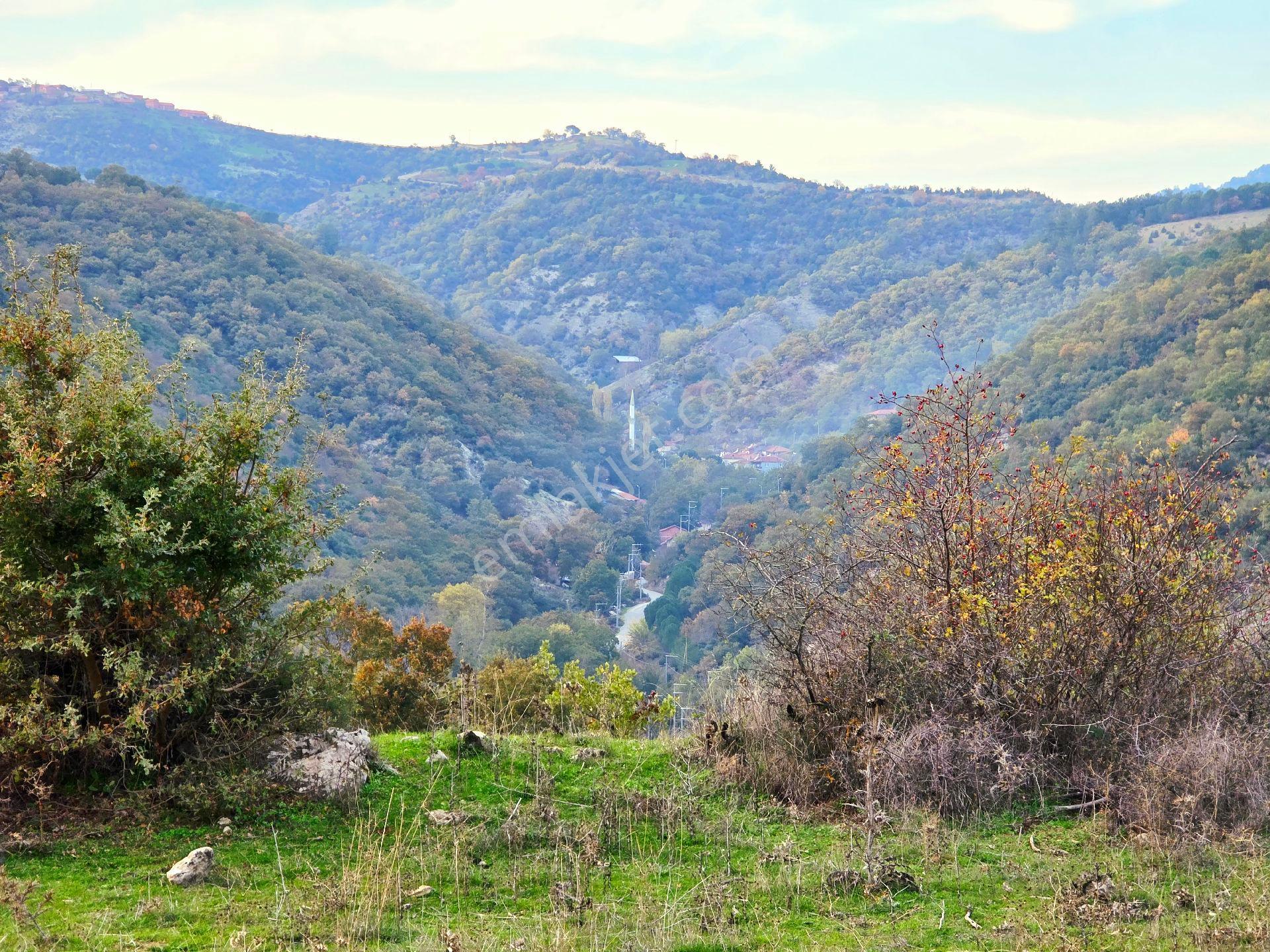 Balıkesir İvrindi Kışladerede Düz 18.520 M² Denize Yakın Yol Elk Su Ev Çiftlik Açıklamada - Görsel 19
