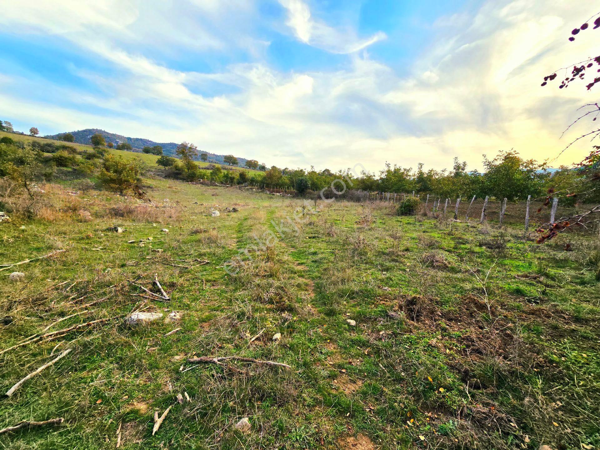 Balıkesir İvrindi Kışladerede Düz 18.520 M² Denize Yakın Yol Elk Su Ev Çiftlik Açıklamada - Görsel 14