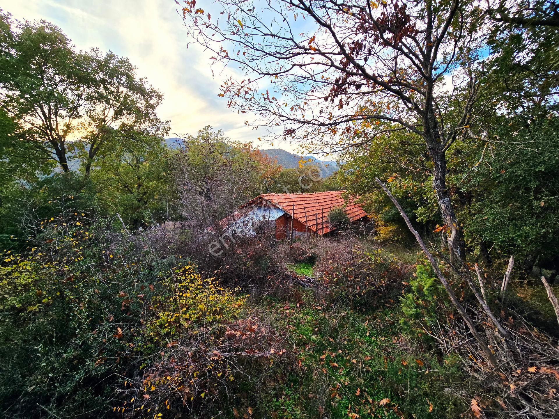 Balıkesir İvrindi Kışladerede Düz 18.520 M² Denize Yakın Yol Elk Su Ev Çiftlik Açıklamada - Görsel 28