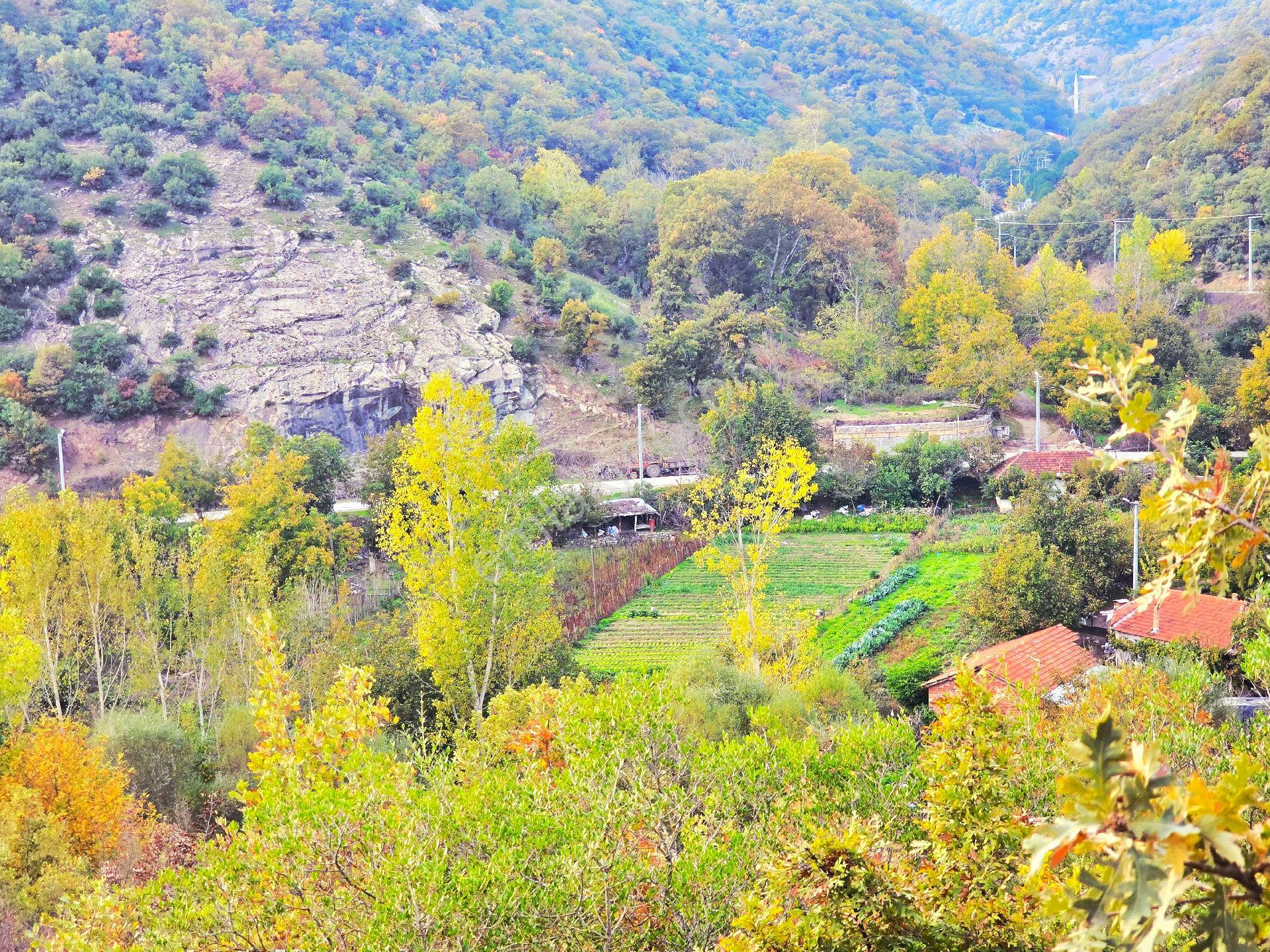 Balıkesir İvrindi Kışladerede Düz 18.520 M² Denize Yakın Yol Elk Su Ev Çiftlik Açıklamada - Görsel 7
