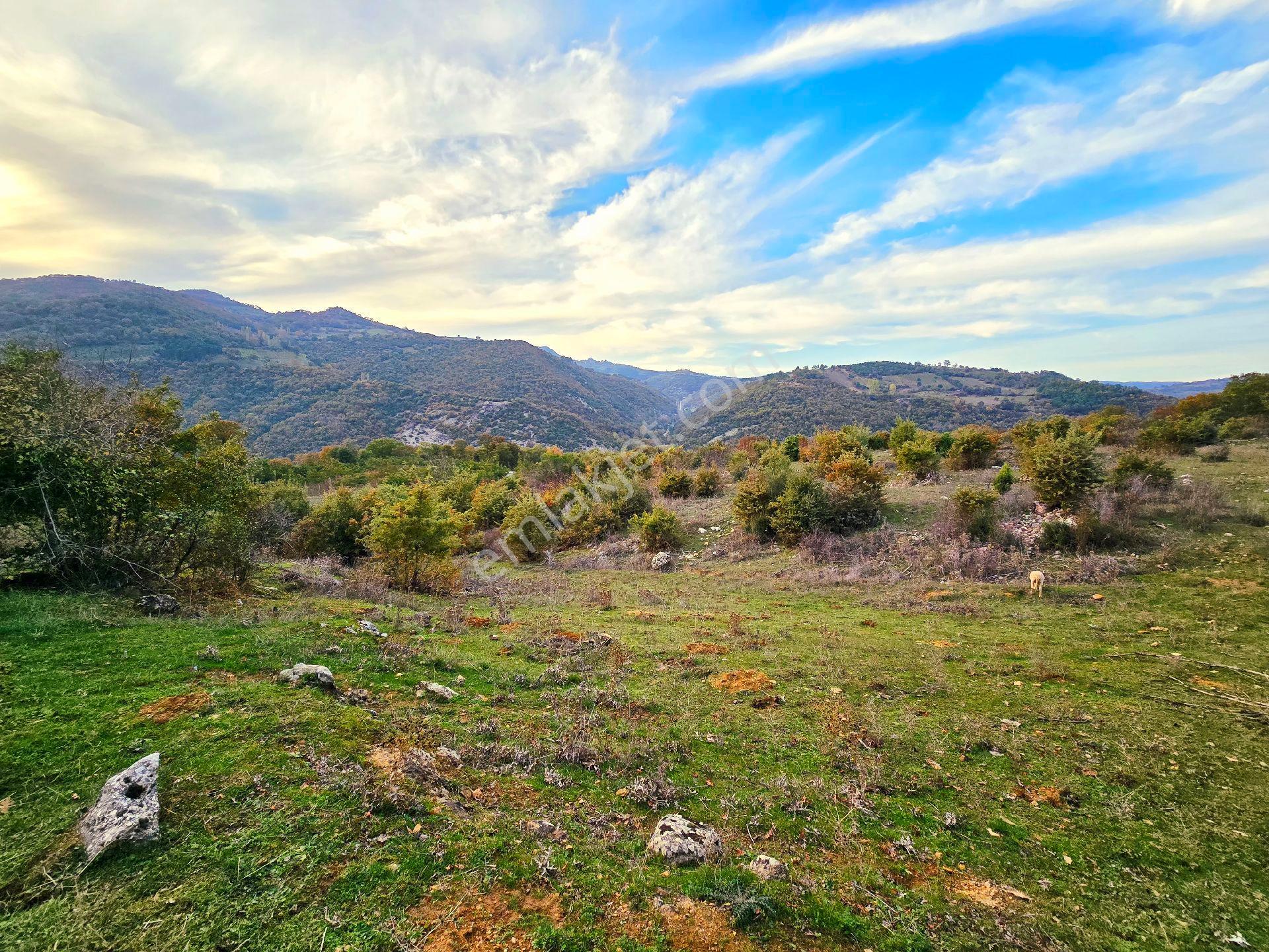 Balıkesir İvrindi Kışladerede Düz 18.520 M² Denize Yakın Yol Elk Su Ev Çiftlik Açıklamada - Görsel 22