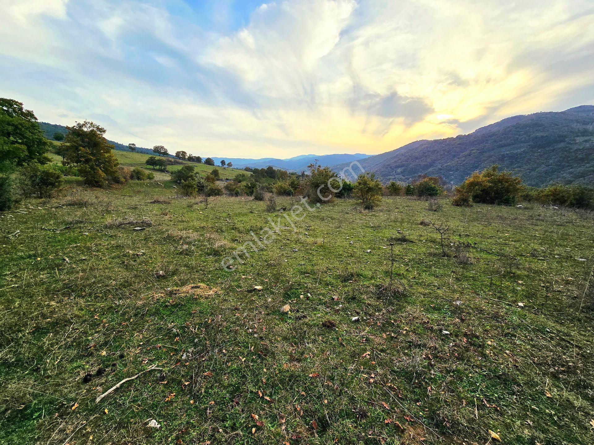 Balıkesir İvrindi Kışladerede Düz 18.520 M² Denize Yakın Yol Elk Su Ev Çiftlik Açıklamada - Görsel 24