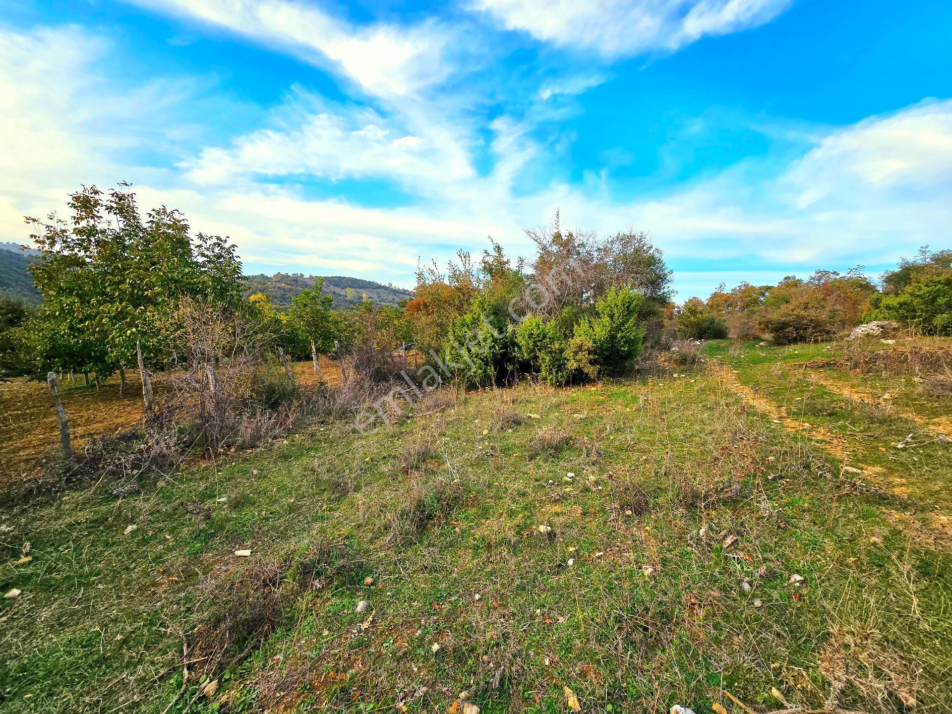 Balıkesir İvrindi Kışladerede Düz 18.520 M² Denize Yakın Yol Elk Su Ev Çiftlik Açıklamada - Görsel 12