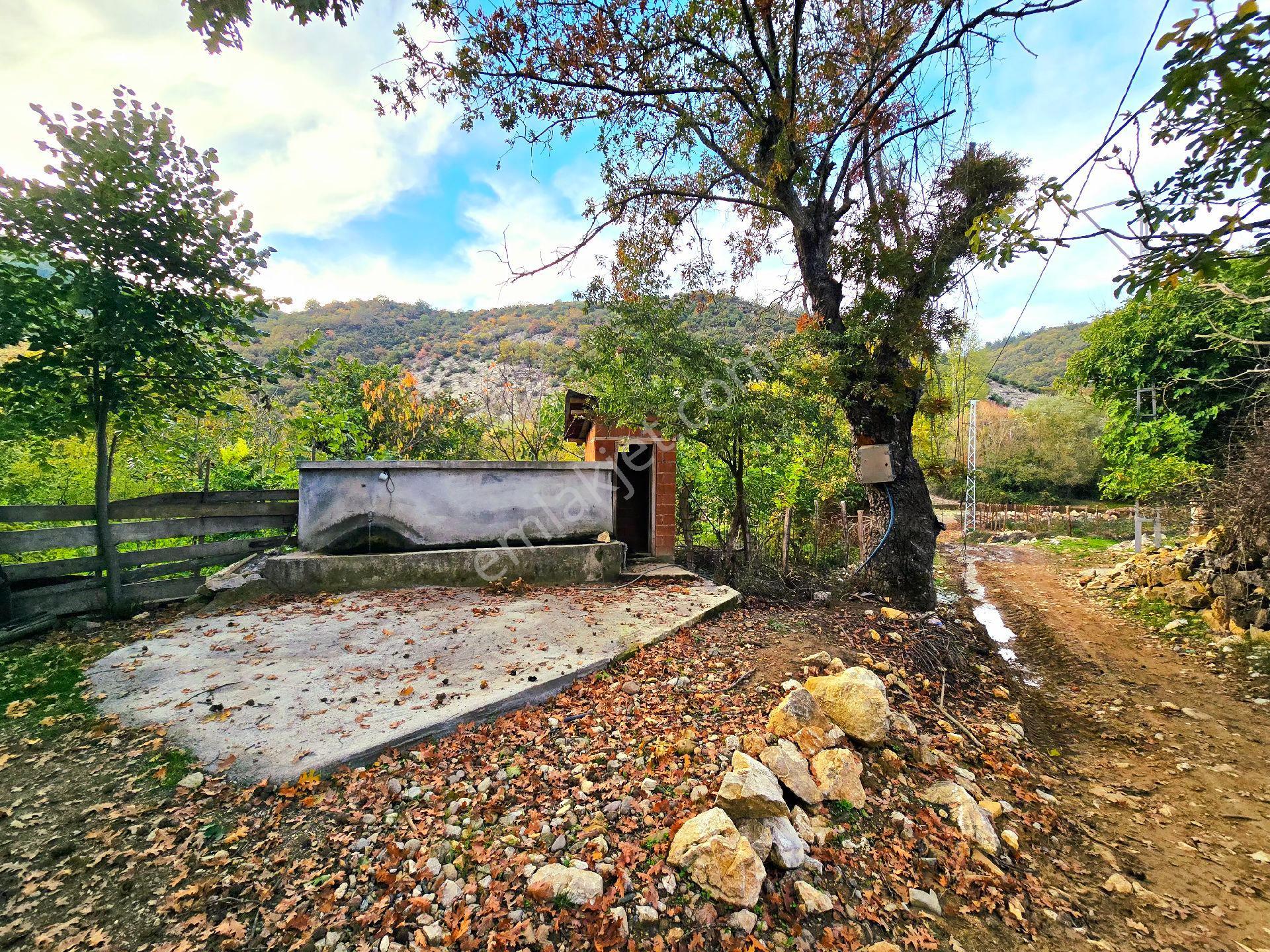 Balıkesir İvrindi Kışladerede Düz 18.520 M² Denize Yakın Yol Elk Su Ev Çiftlik Açıklamada - Görsel 5