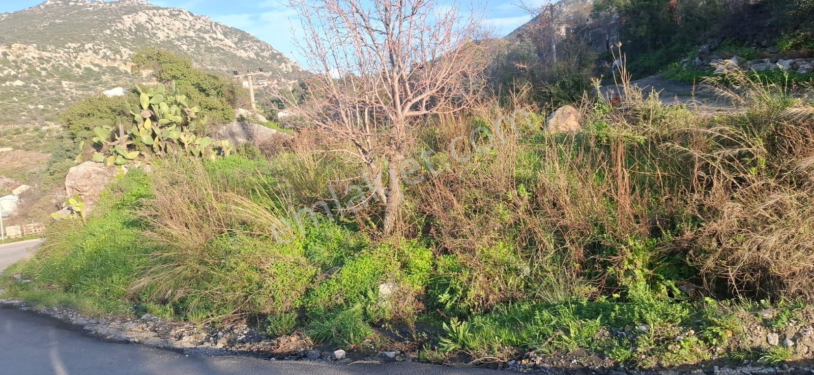 Marmaris Söğüt'te Deniz Manzaralı 7 Dönüm Satılık Araz, - Görsel 4
