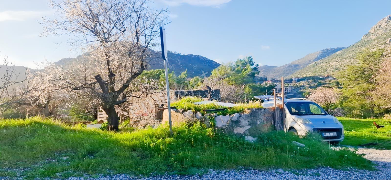 Marmaris Söğüt'te Deniz Manzaralı 7 Dönüm Satılık Araz,