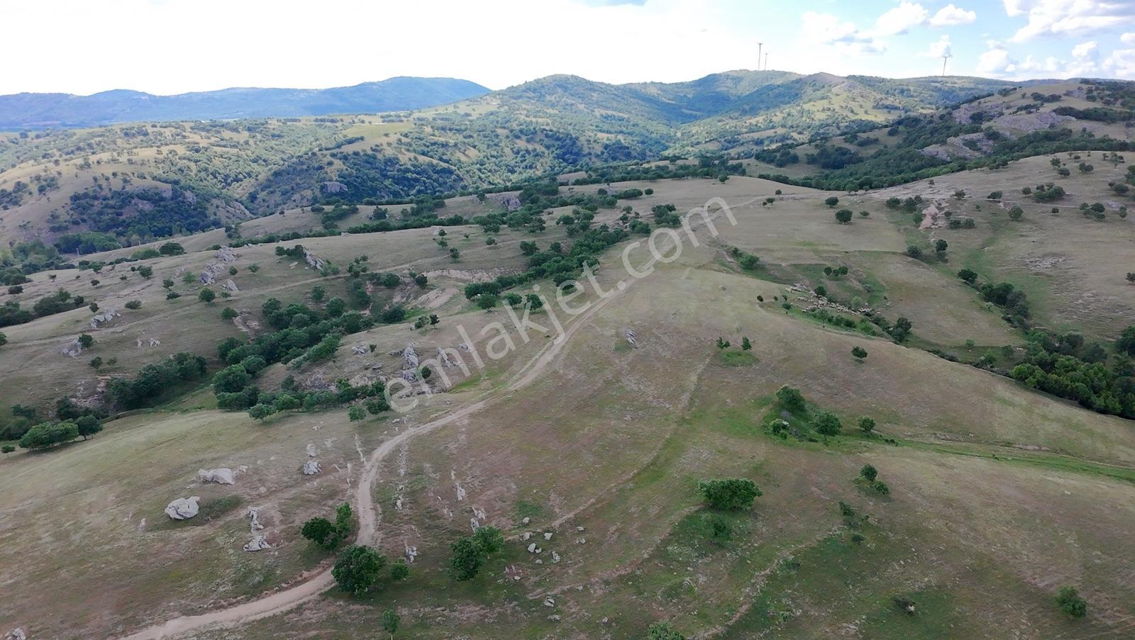 Newcıty Emlaktan Kuzuluda 39.106 M2 Satılık Tarla - Görsel 8