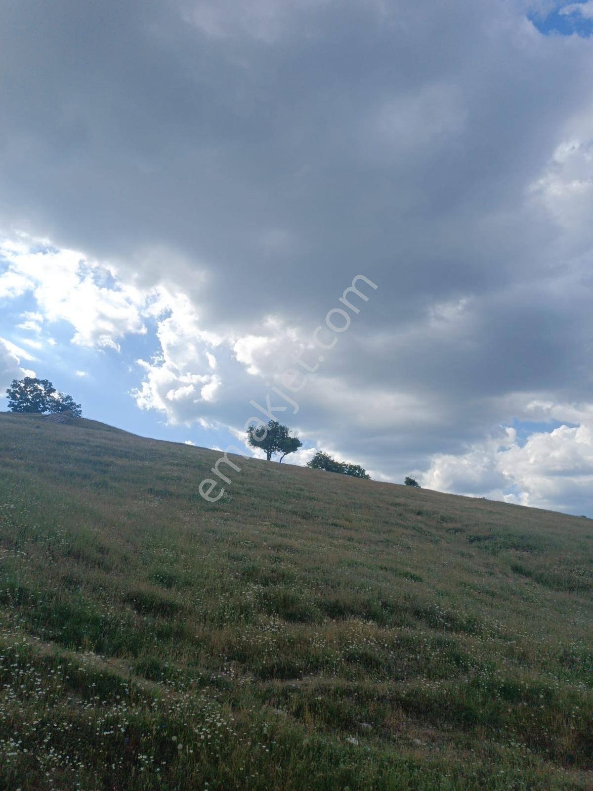 Newcıty Emlaktan Kuzuluda 39.106 M2 Satılık Tarla - Görsel 5