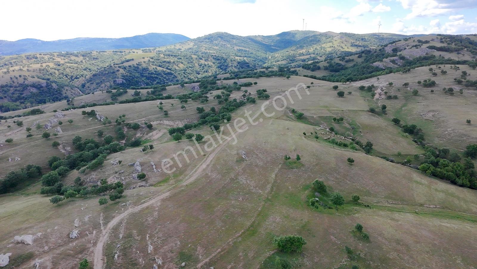 Newcıty Emlaktan Kuzuluda 39.106 M2 Satılık Tarla - Görsel 7