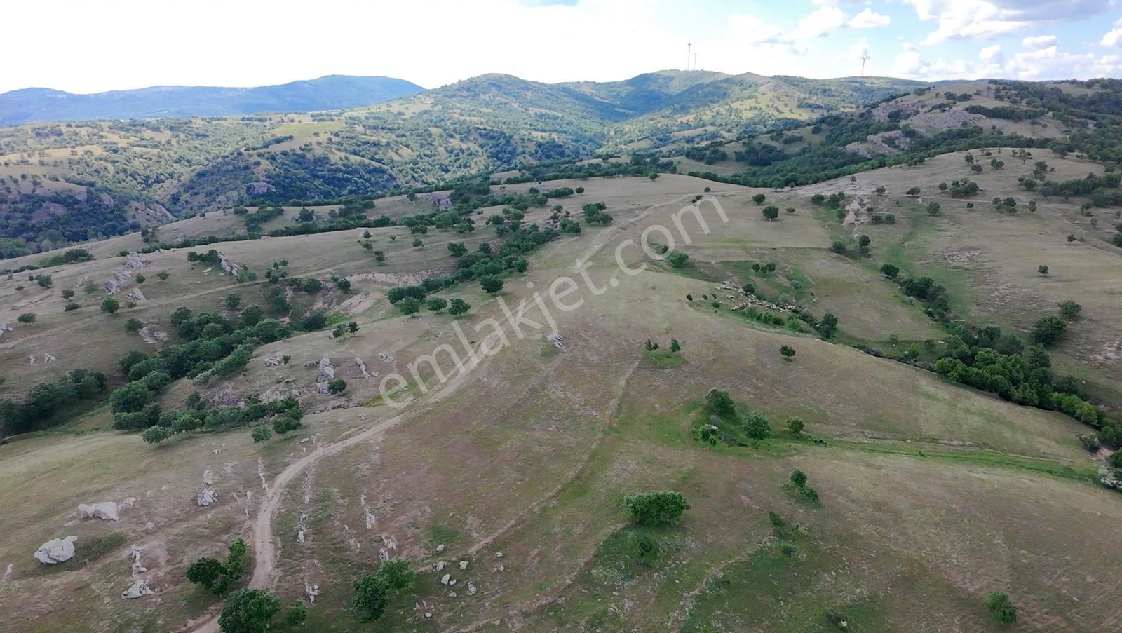 Newcıty Emlaktan Kuzuluda 39.106 M2 Satılık Tarla - Görsel 10