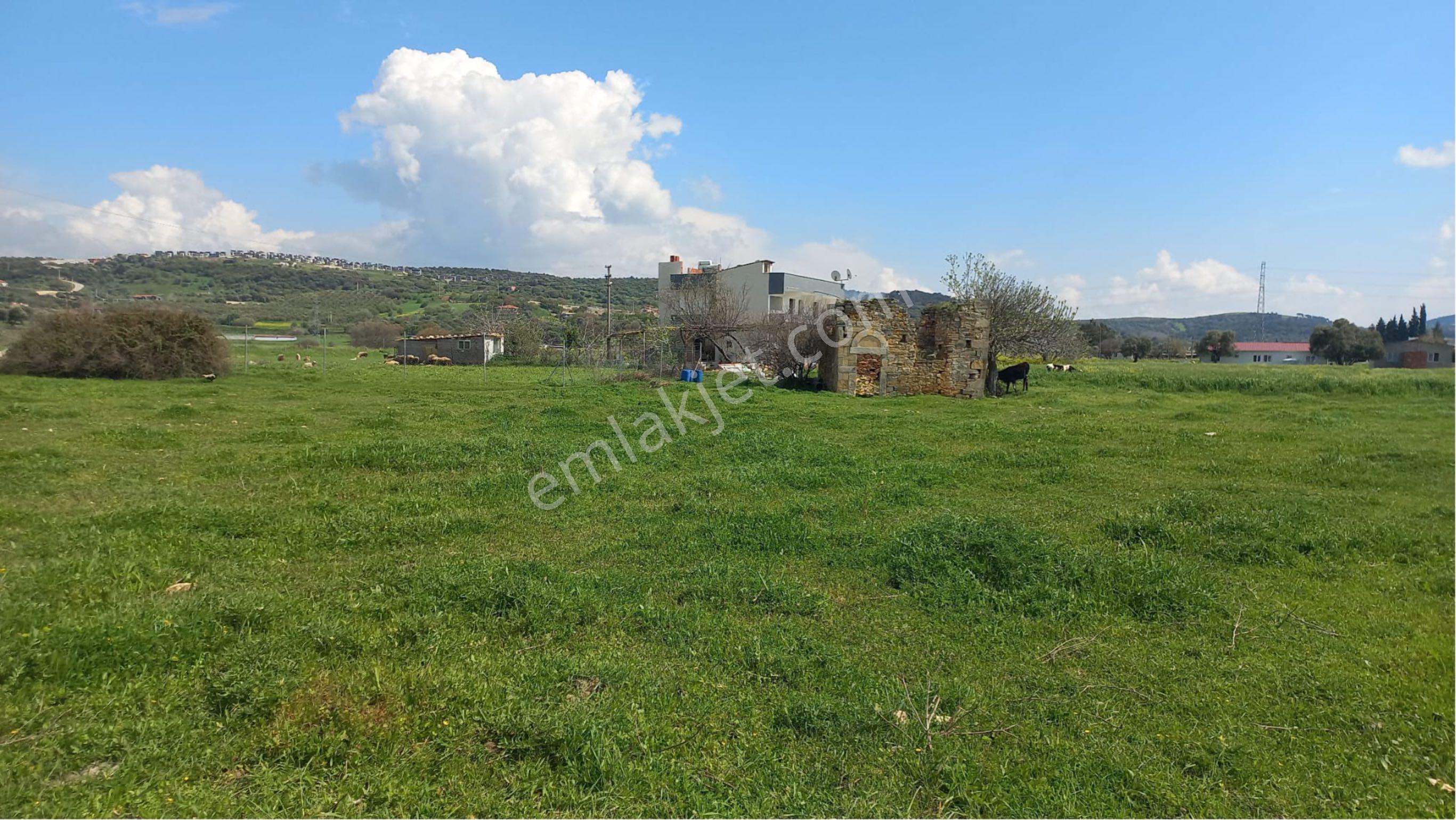 Yeni Foça Sahile 450m Sahibinden Yatırımlık Fırsat Tarla - Görsel 9