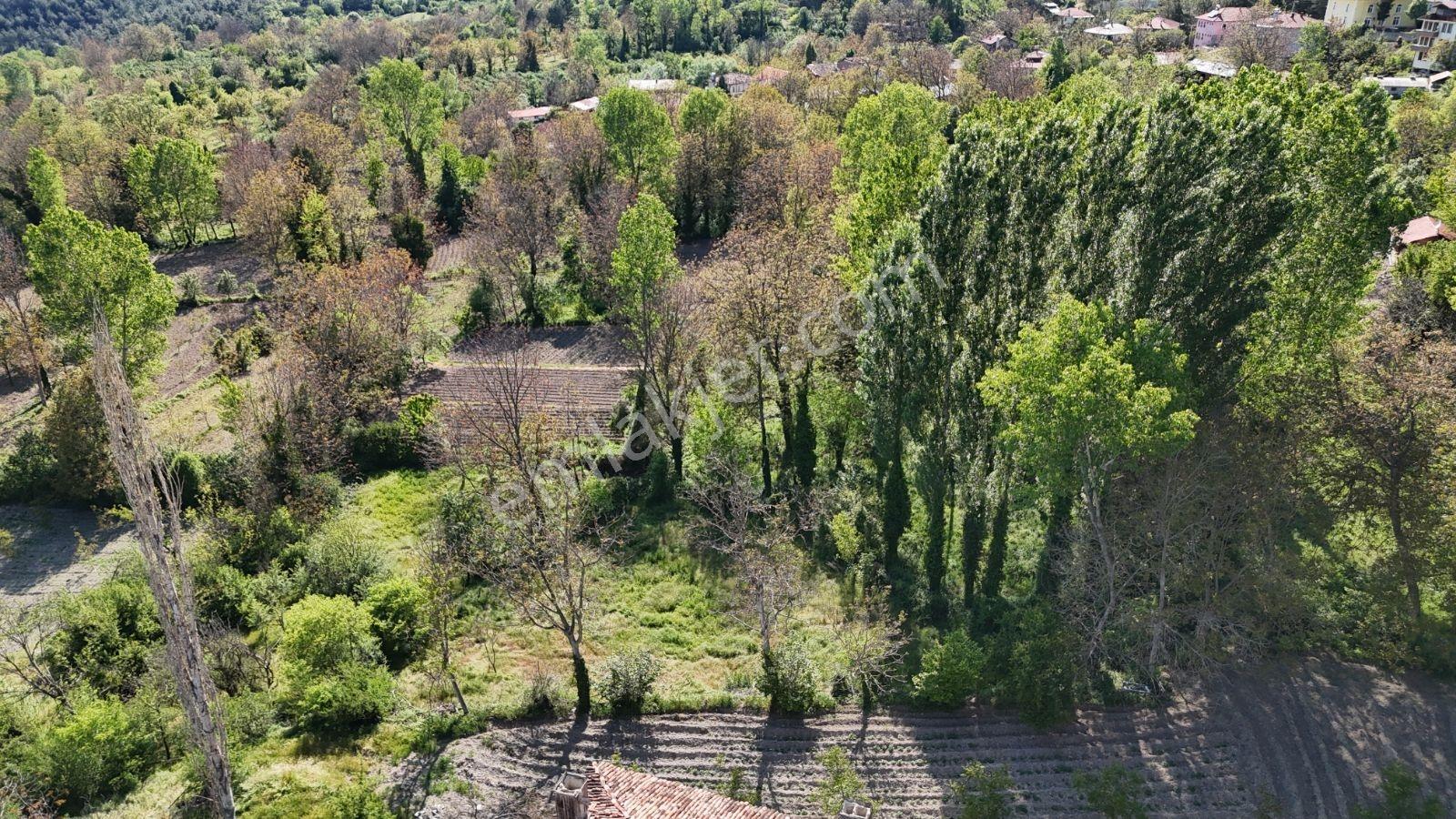 Sakarya Taraklı 906 M2 %40 İmarlı Fırsat Arsa Masrafsız Düzzemin - Görsel 33