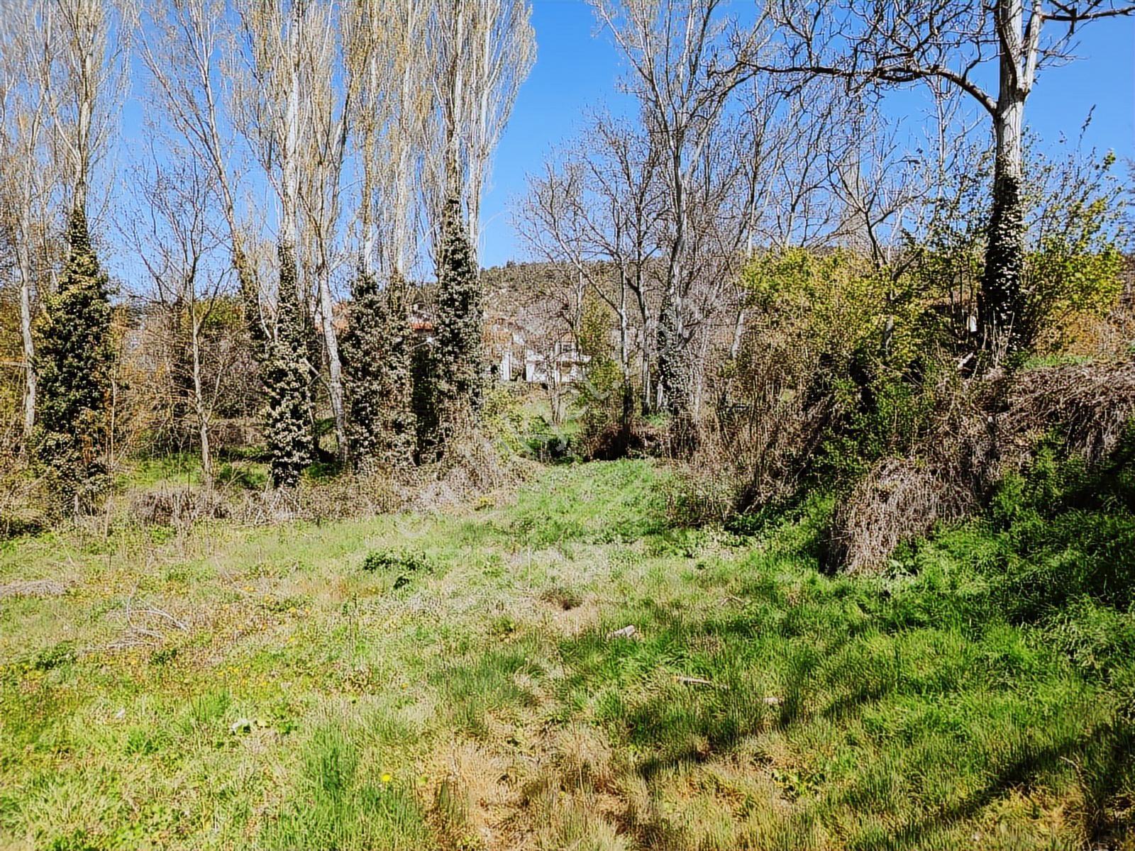 Sakarya Taraklı 906 M2 %40 İmarlı Fırsat Arsa Masrafsız Düzzemin - Görsel 30