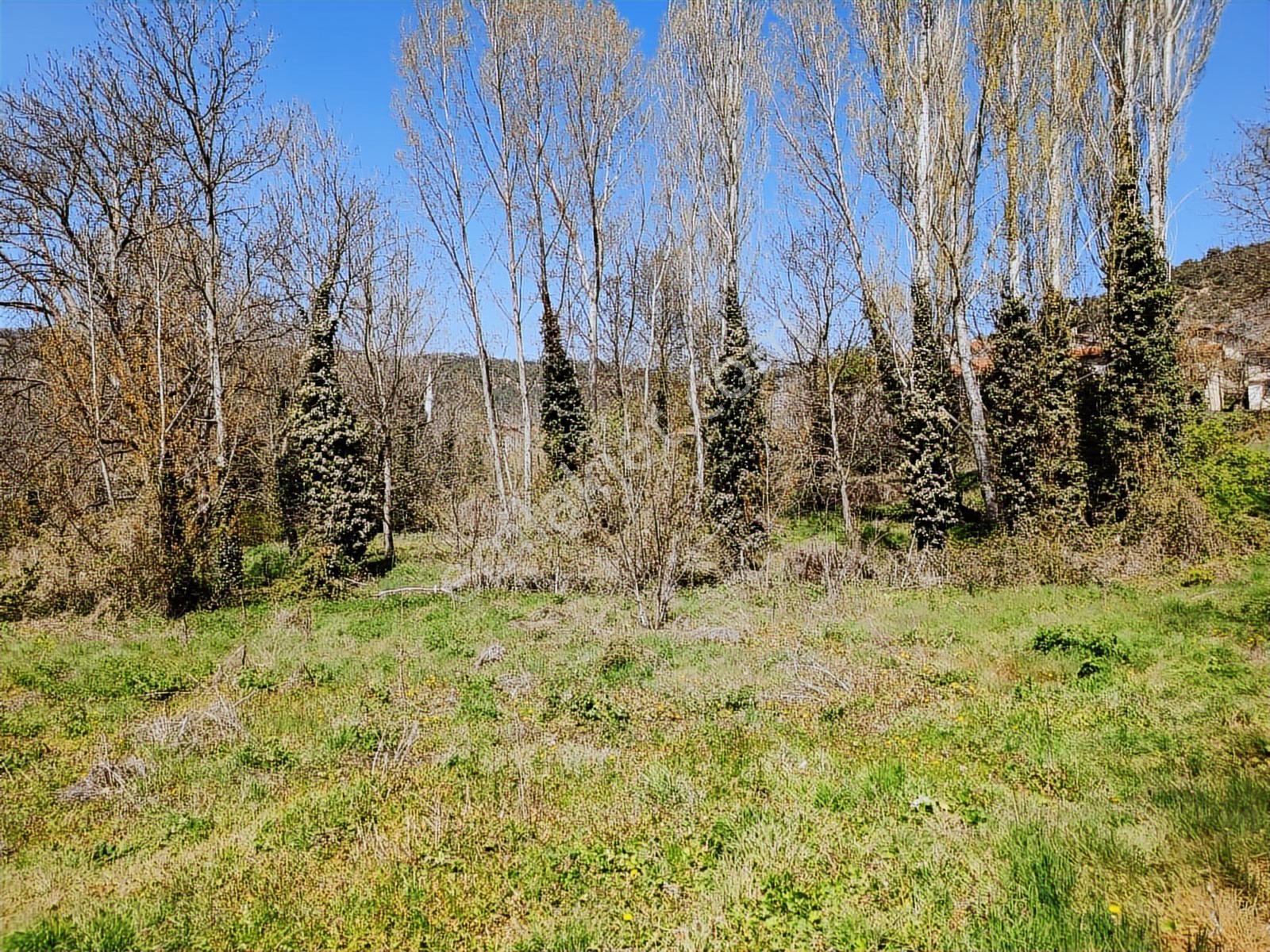 Sakarya Taraklı 906 M2 %40 İmarlı Fırsat Arsa Masrafsız Düzzemin - Görsel 22