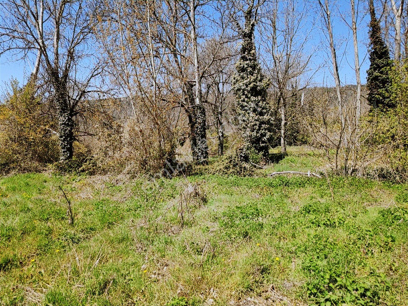 Sakarya Taraklı 906 M2 %40 İmarlı Fırsat Arsa Masrafsız Düzzemin - Görsel 3