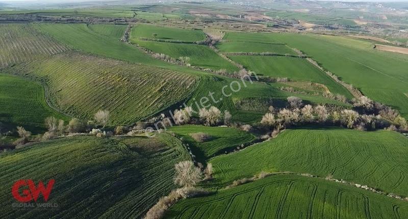 Tekirdağ Nusratlı'da Satılık 4.000 M² Tarla - Görsel 3