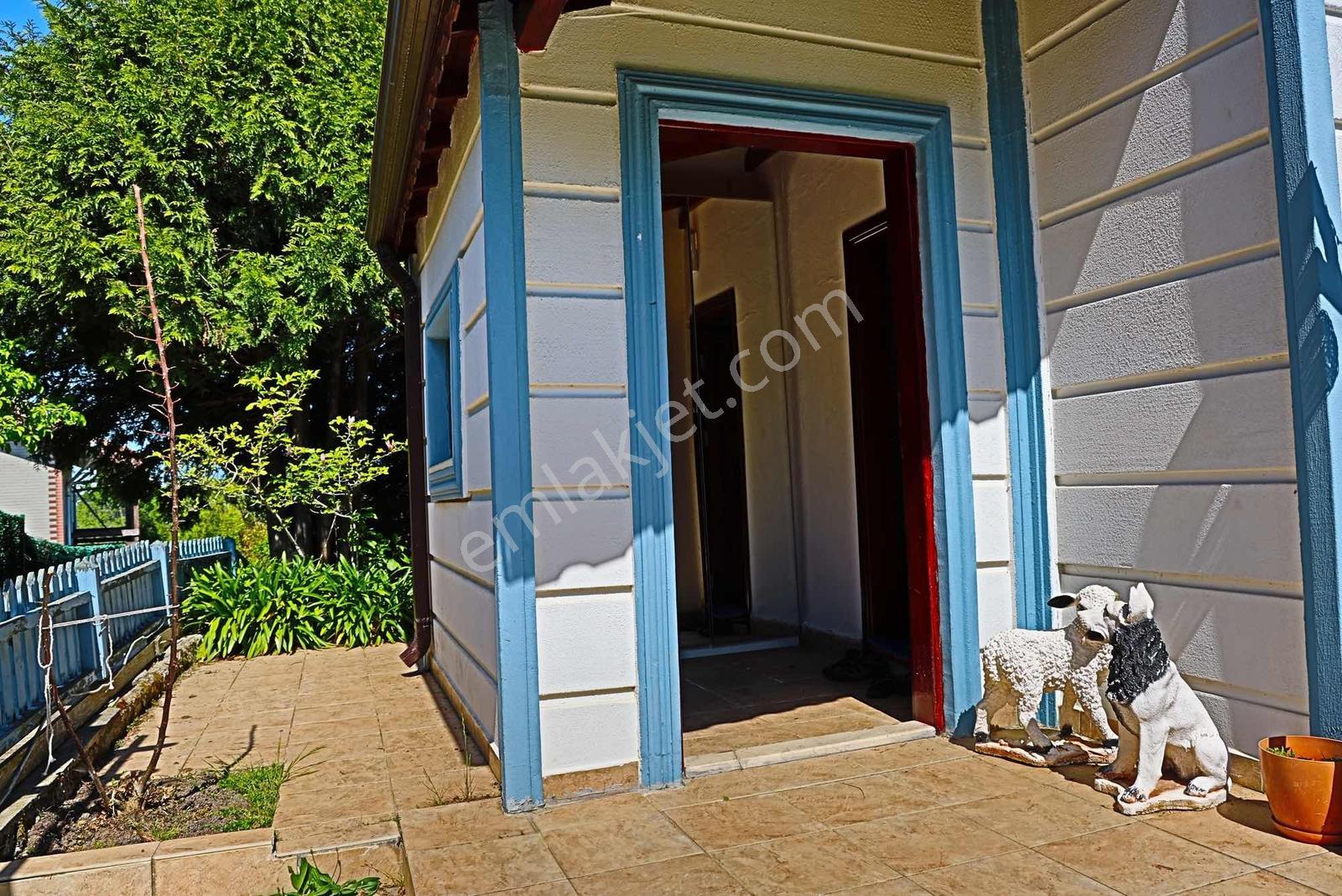 Özel Mimarili Ve Yüksek Tavanlı - Görsel 9