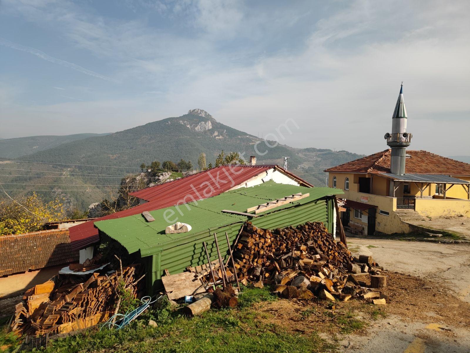Sakarya Geyve Ahibaba 758m2 Asfalta Cephe %40 İmarlı Arsa Fırsat - Görsel 26