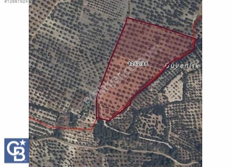 Aliağa Bozköy'de Kaçırılmayacak Fırsat!! - Görsel 5