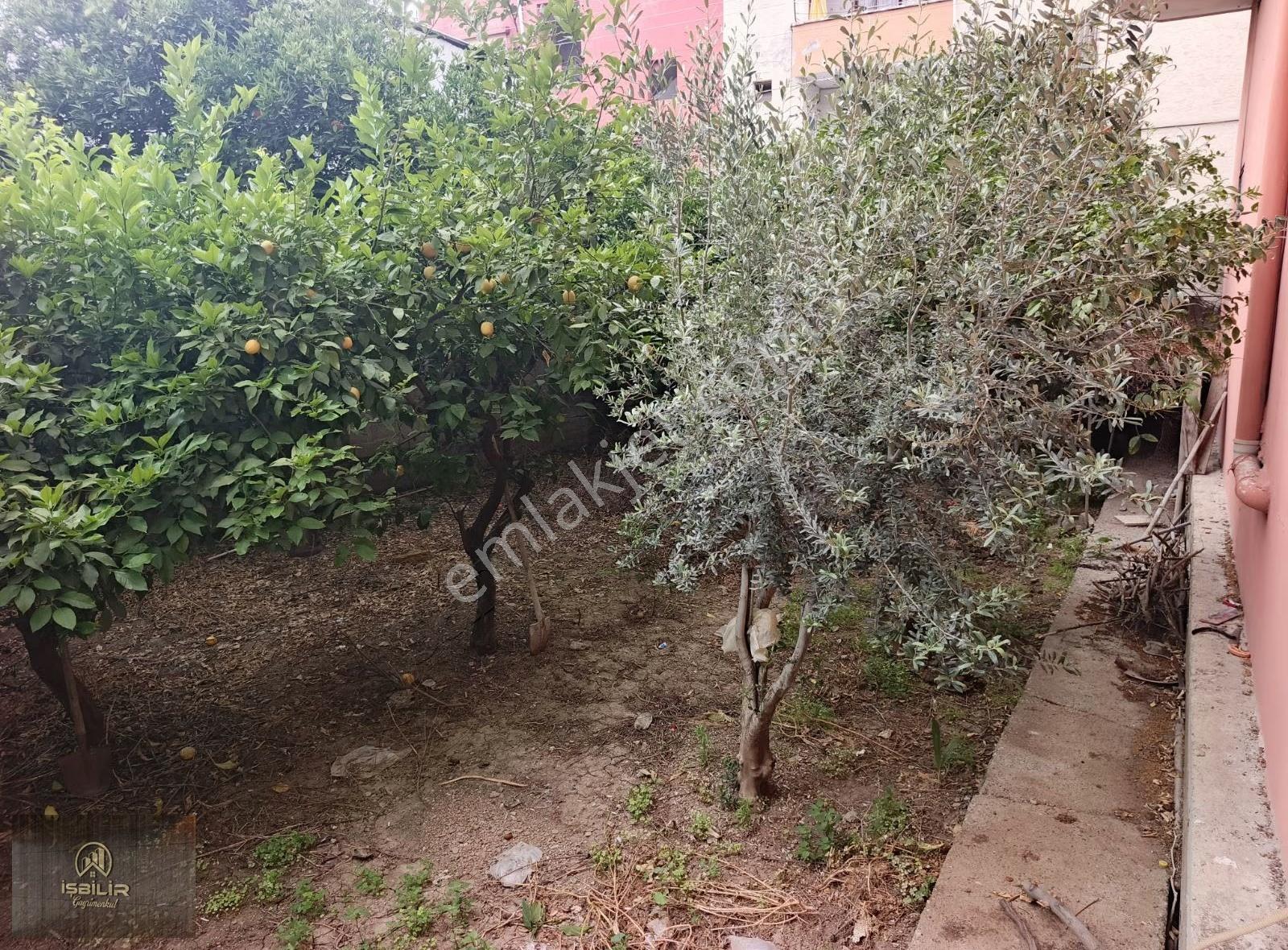 Yeşil Evler 475 Mt Müstakil 5+1 Kapali Mutfak Ve İş Yeri - Görsel 7