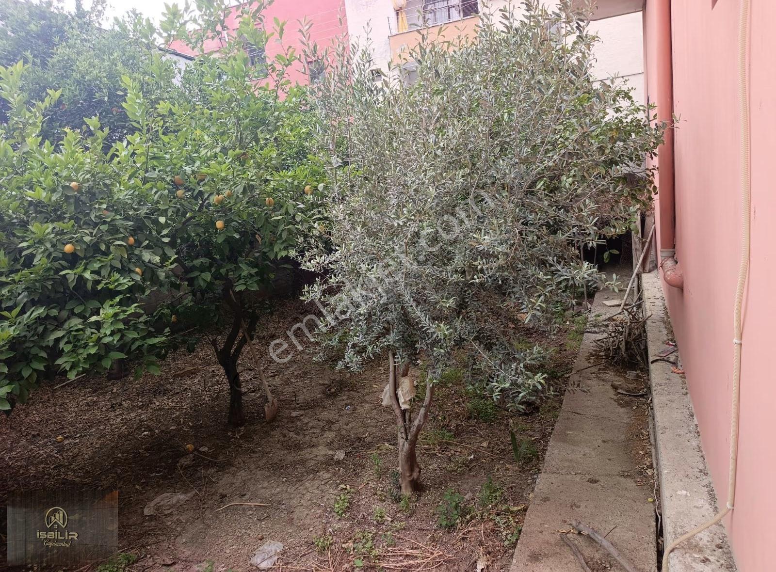 Yeşil Evler 475 Mt Müstakil 5+1 Kapali Mutfak Ve İş Yeri - Görsel 17
