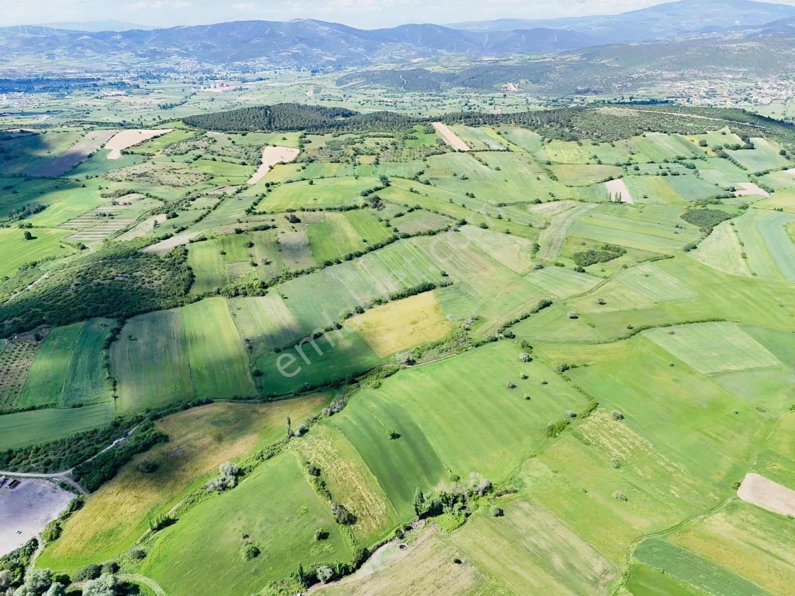 Nova'dan Kepsut Karaçaltı Köyünde 8550m² Resmi Yolu Olan Tarla - Görsel 12